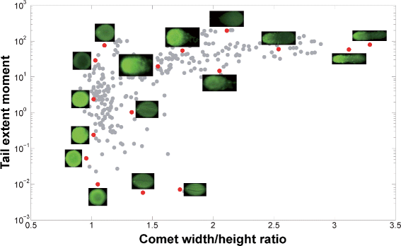 Fig. 8