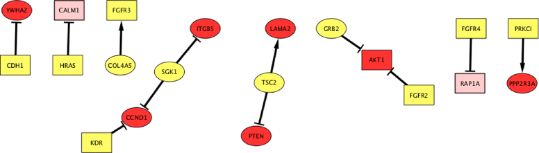 Fig. 5