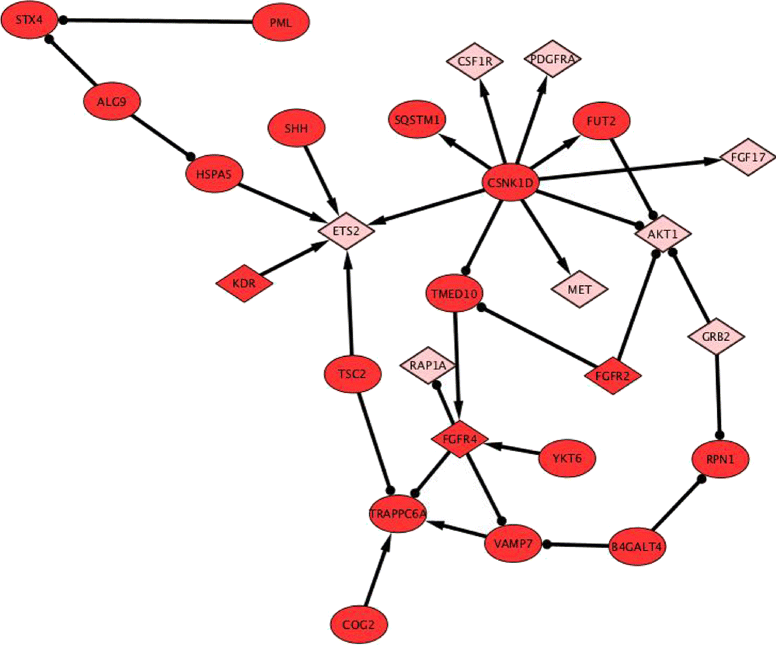 Fig. 7