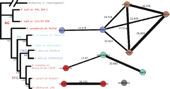 Fig. 8