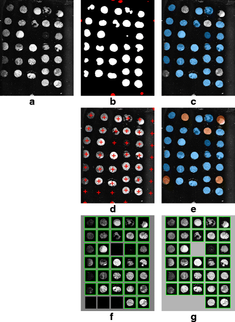 Fig. 14