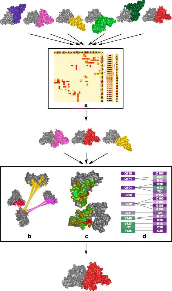 Fig. 3