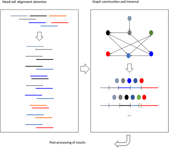 Fig. 1