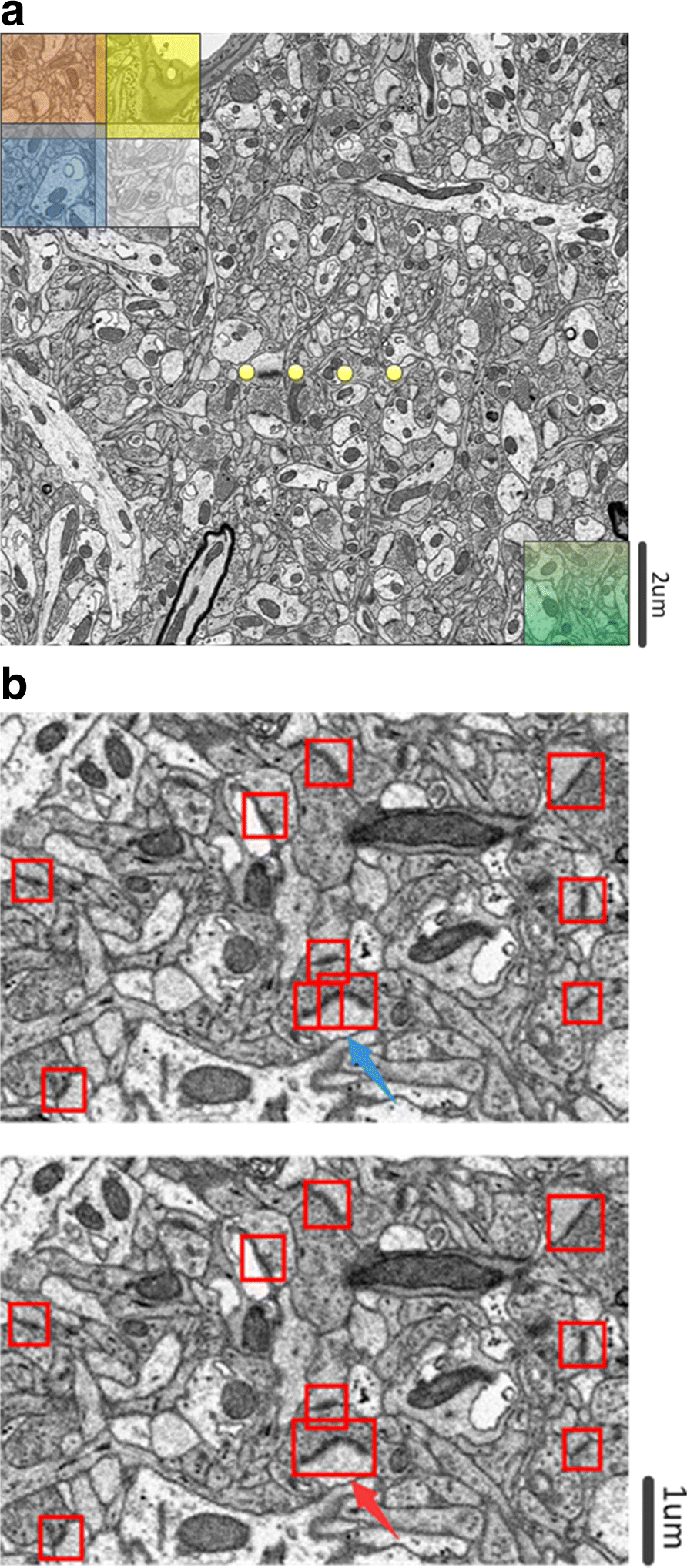 Fig. 4