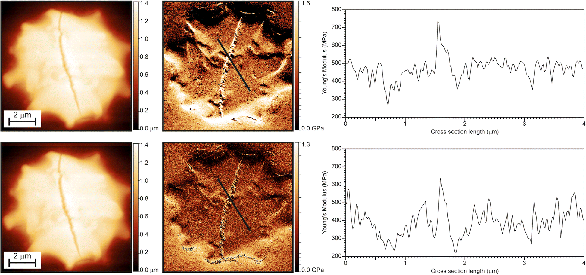 Fig. 7