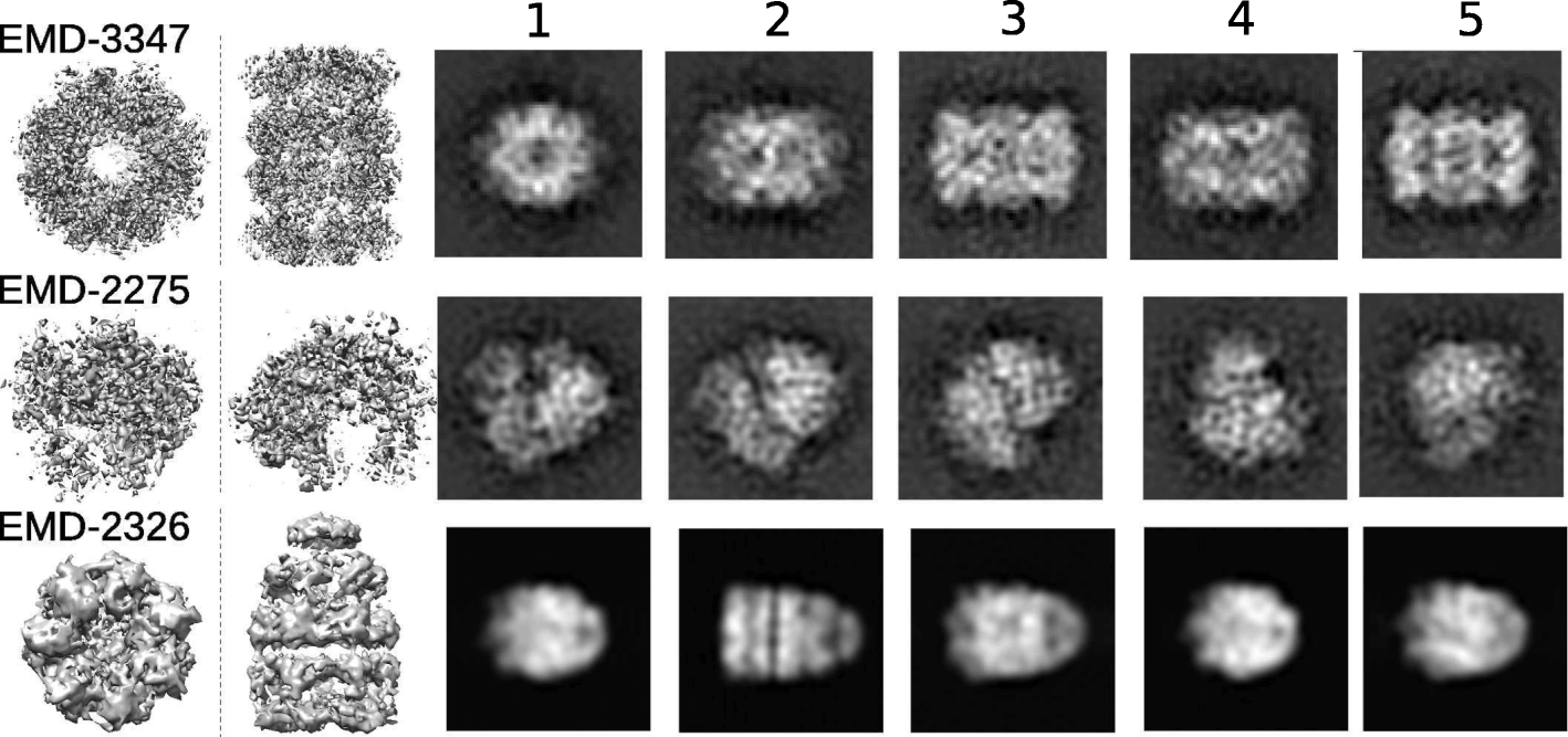 Fig. 7