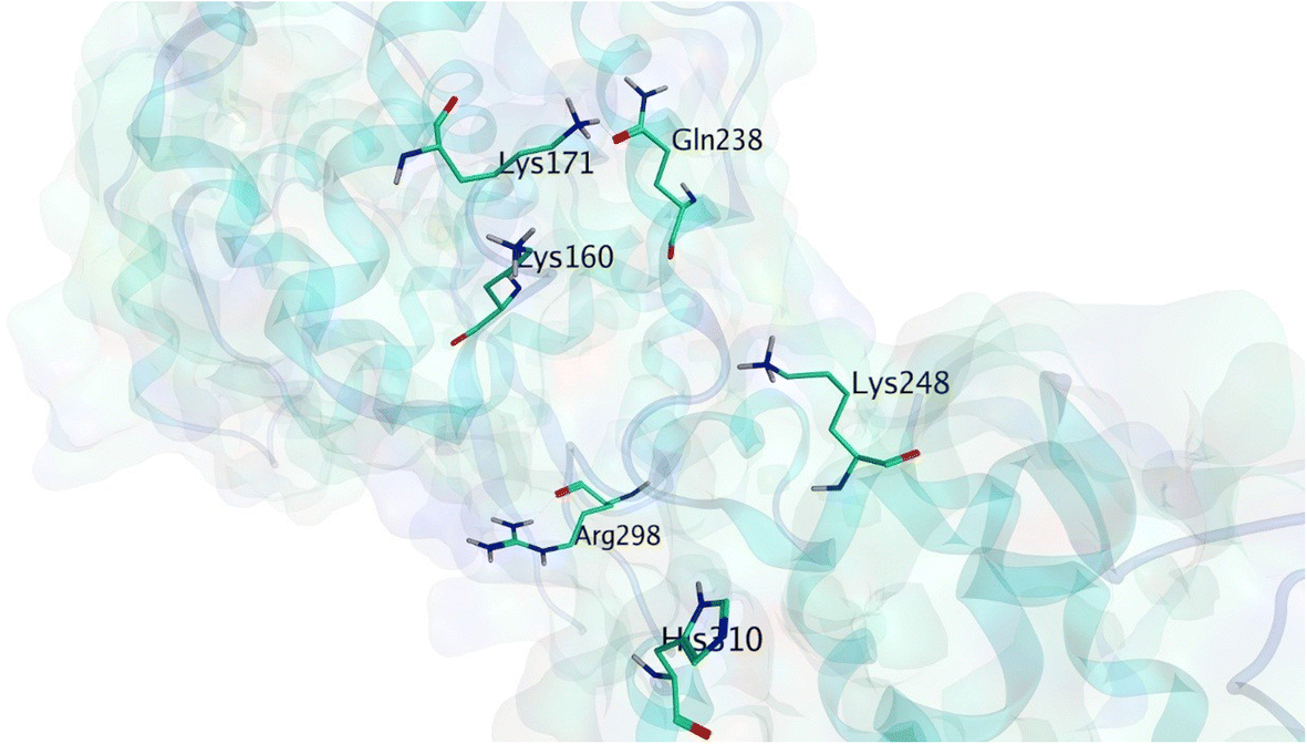 Fig. 2