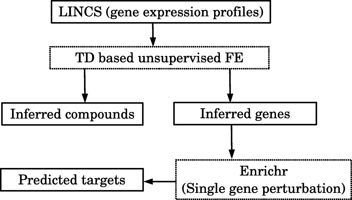 Fig. 1