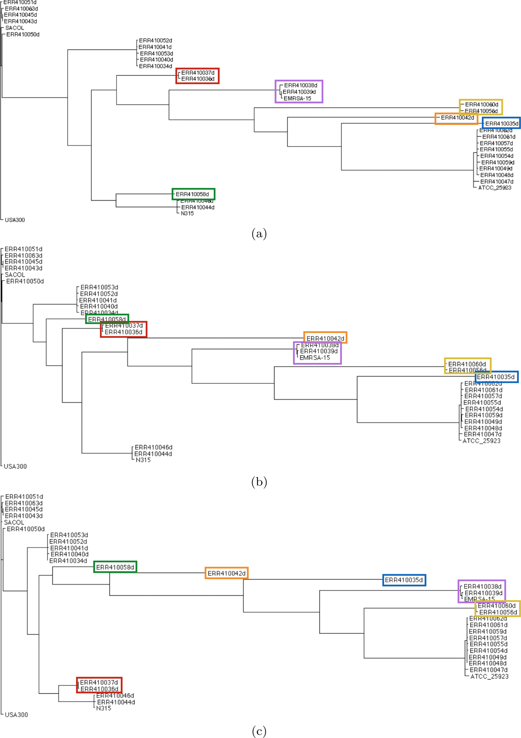 Fig. 12