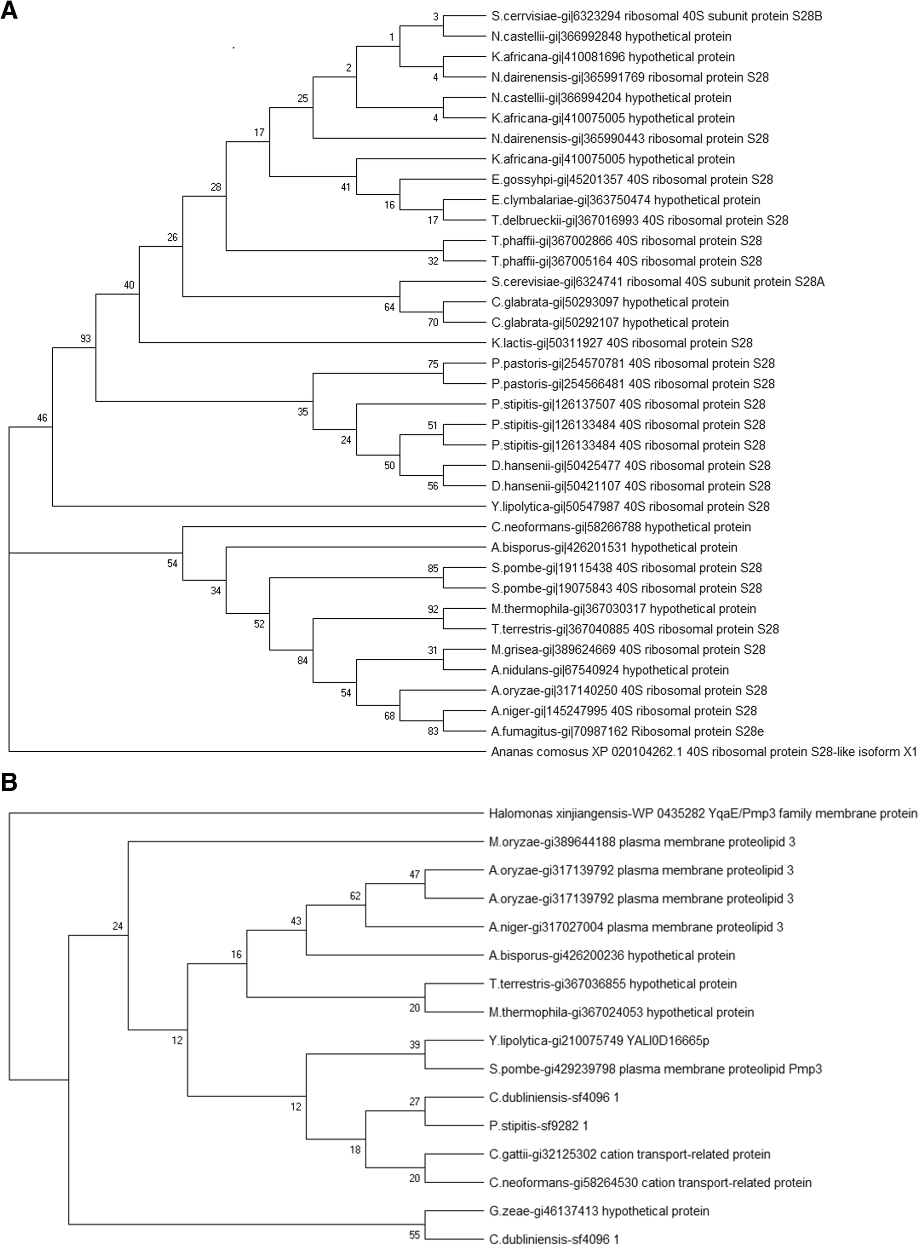 Fig. 6