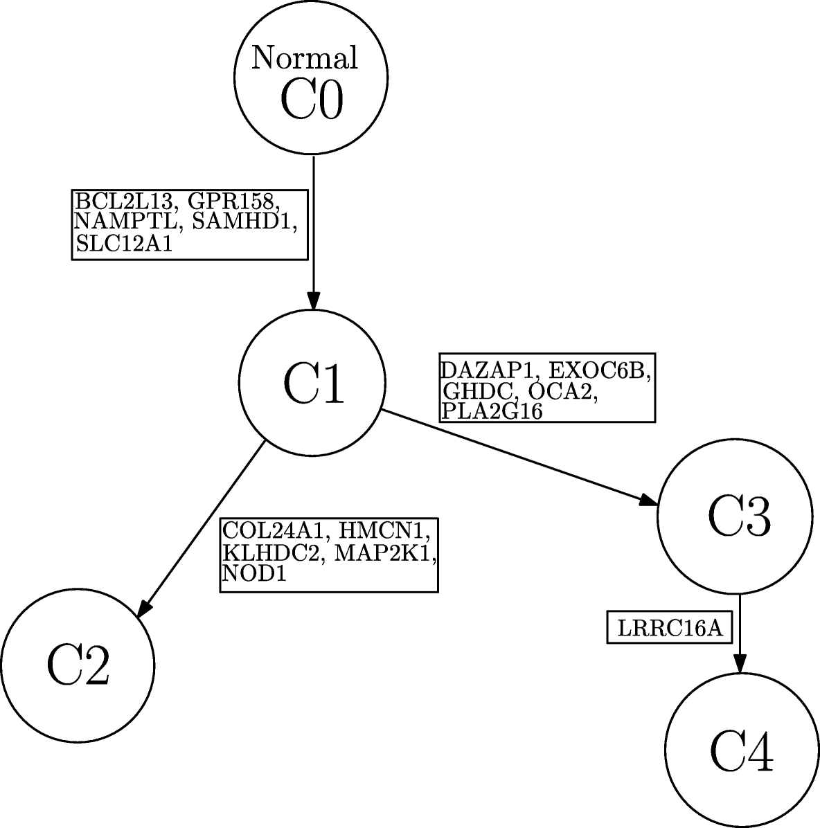 Fig. 8