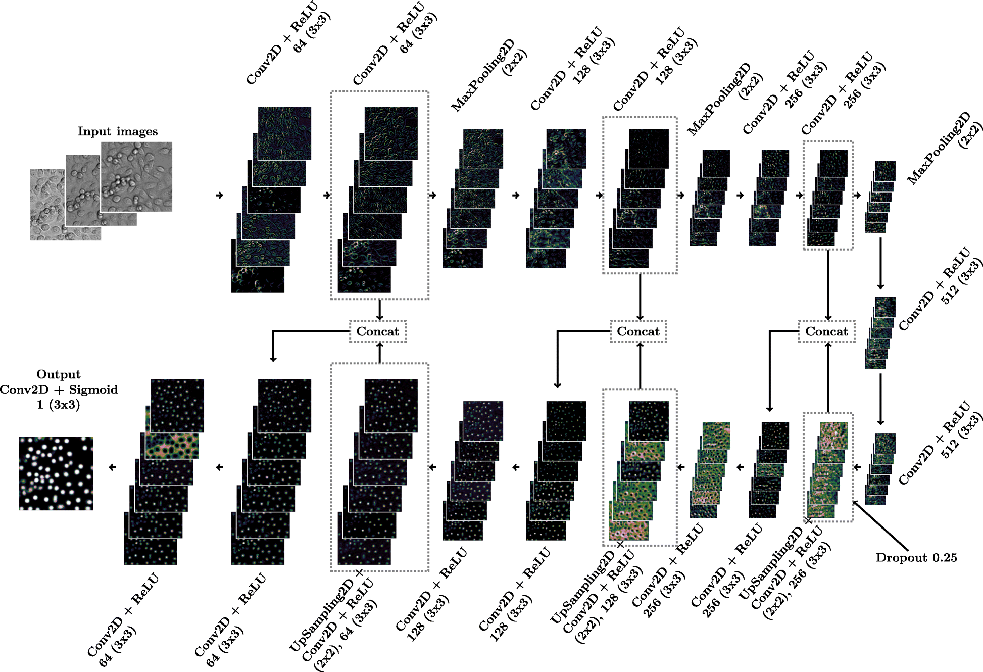 Fig. 2