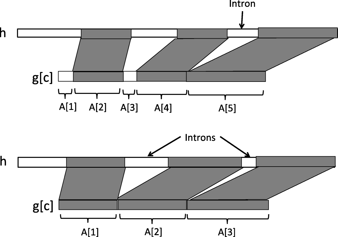 Fig. 10