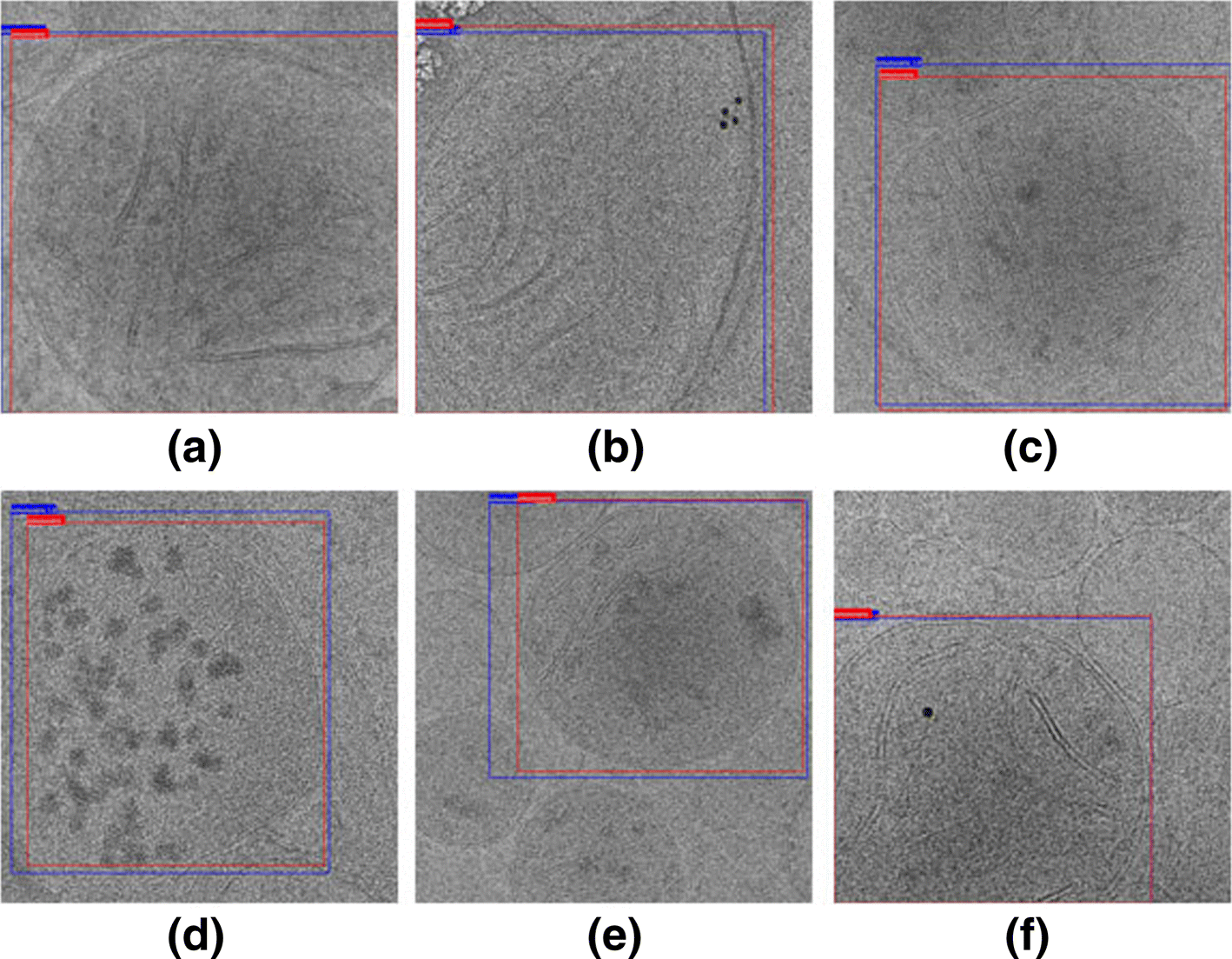 Fig. 5