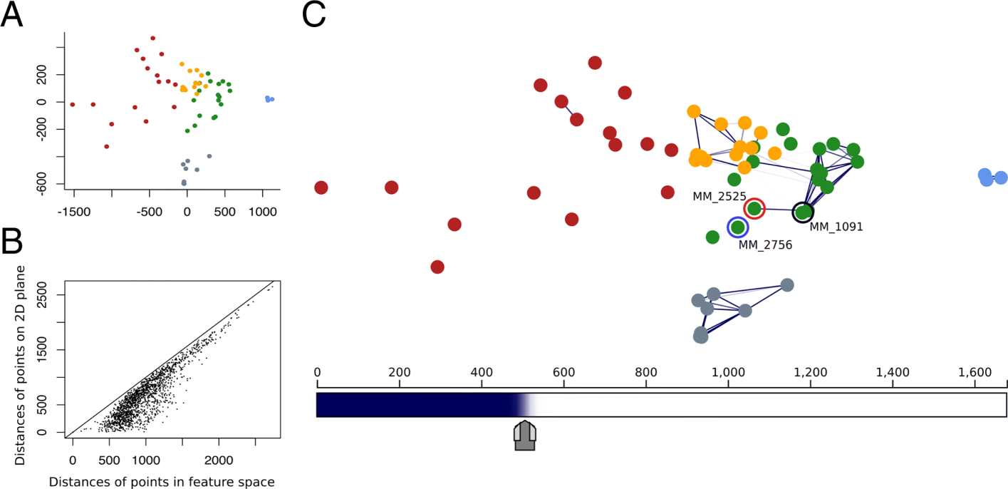 Focused multidimensional scaling: interactive visualization for ...