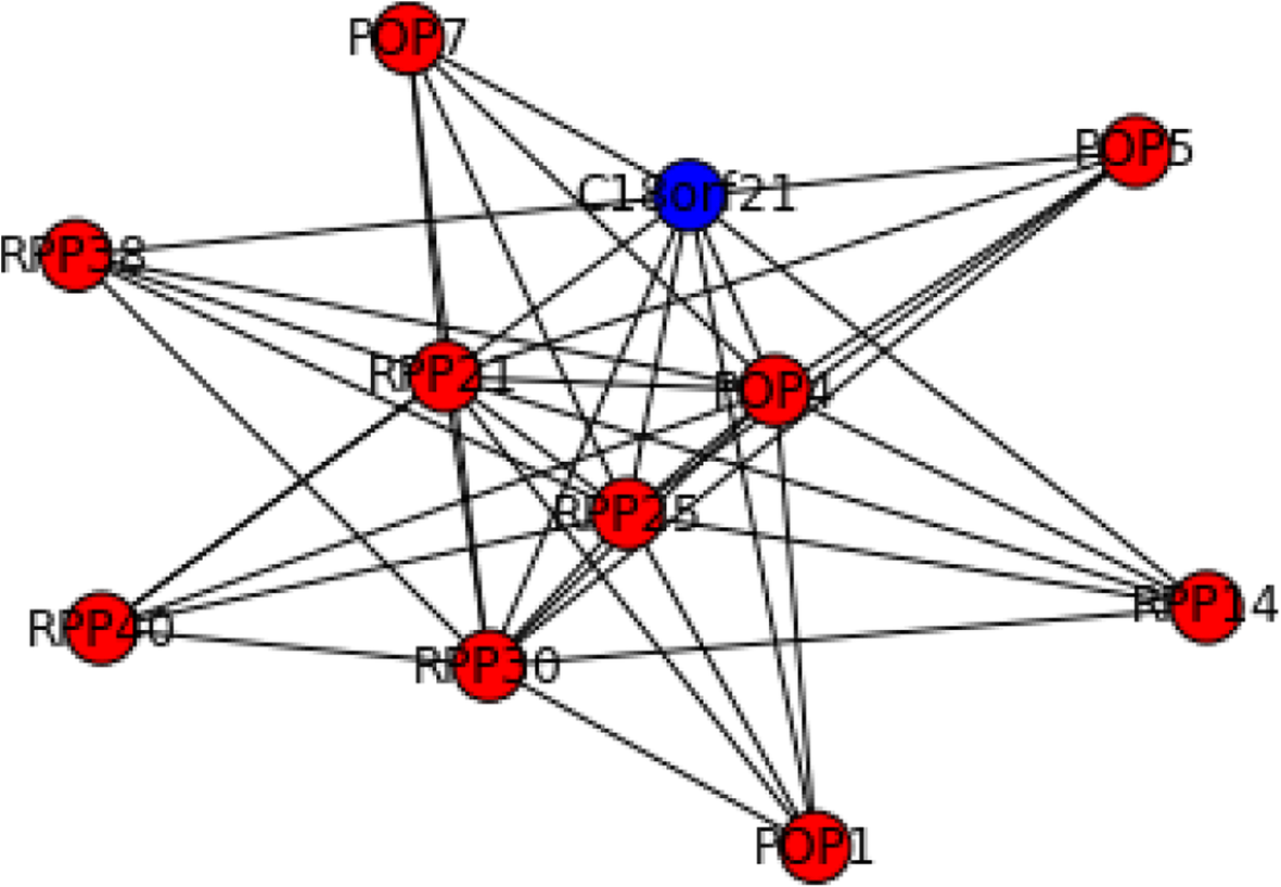 Fig. 10