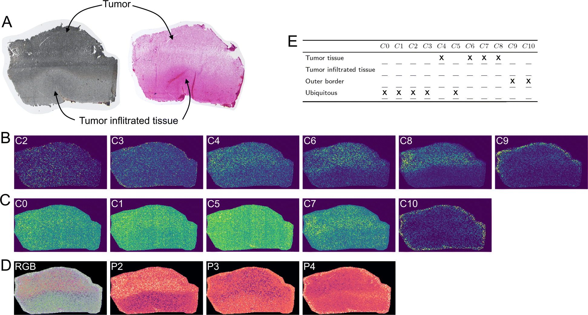 Fig. 7