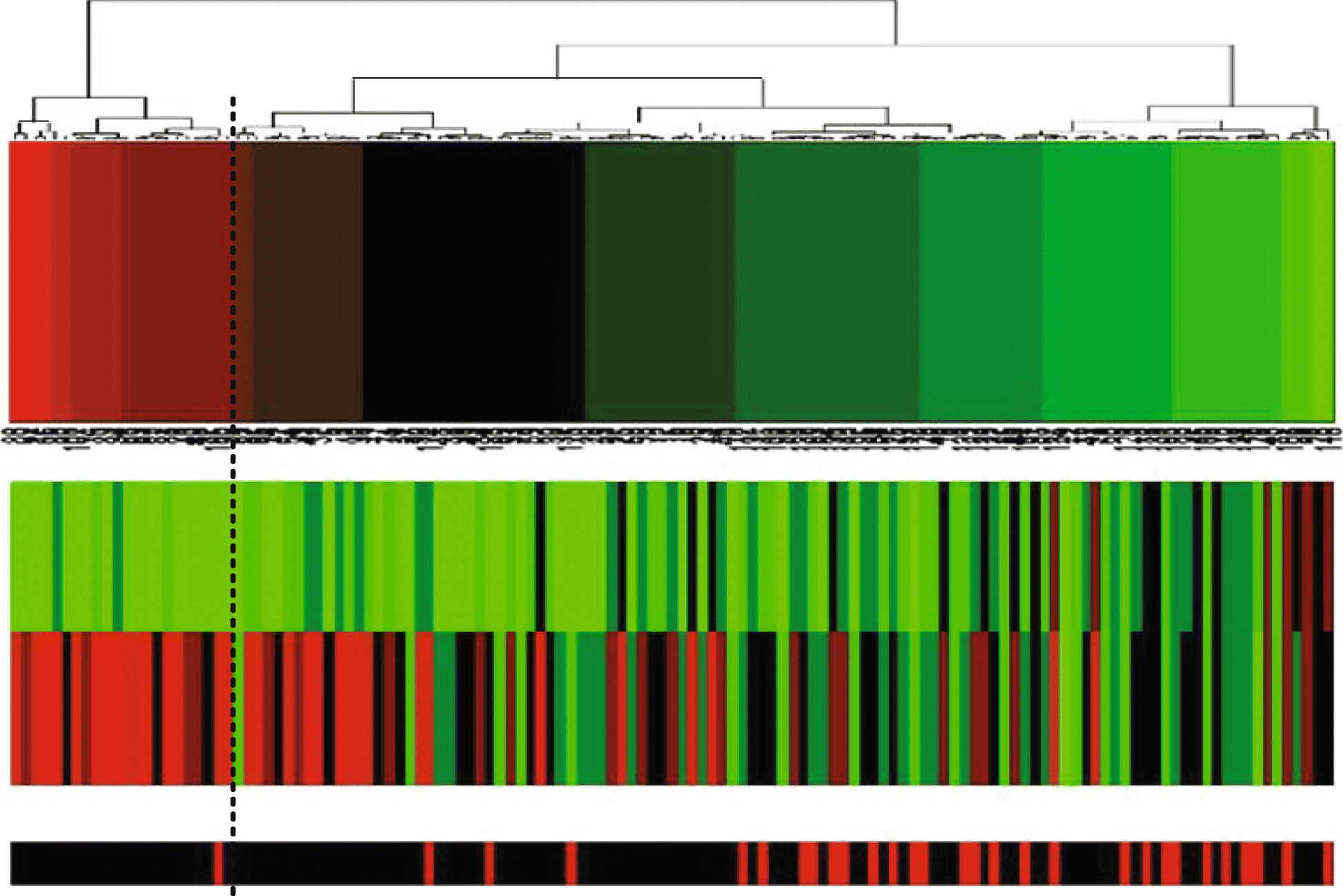 Fig. 10