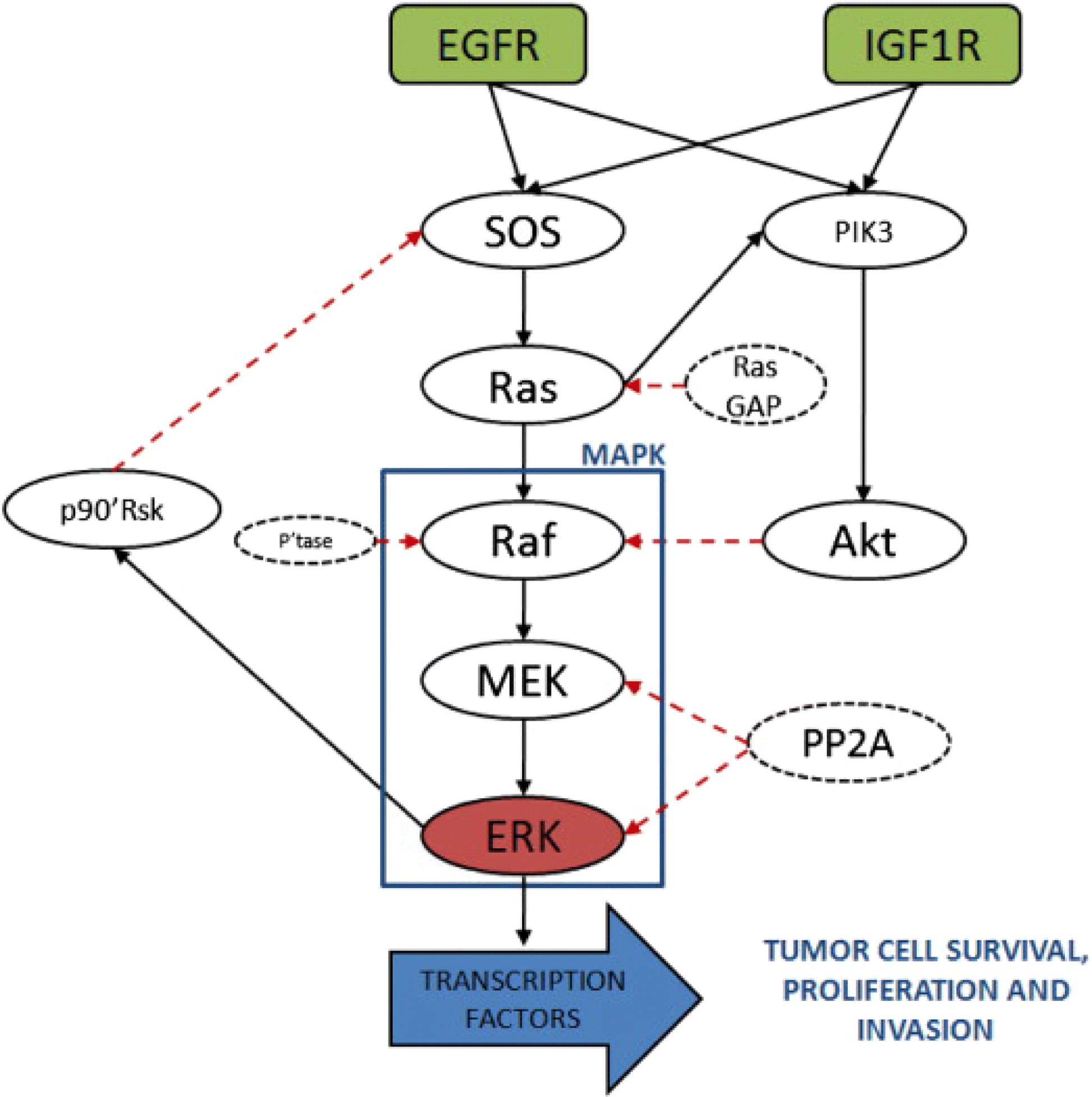 Fig. 13