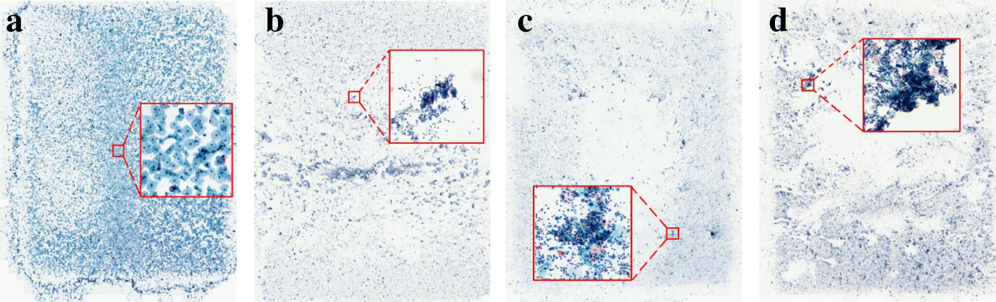 Fig. 6