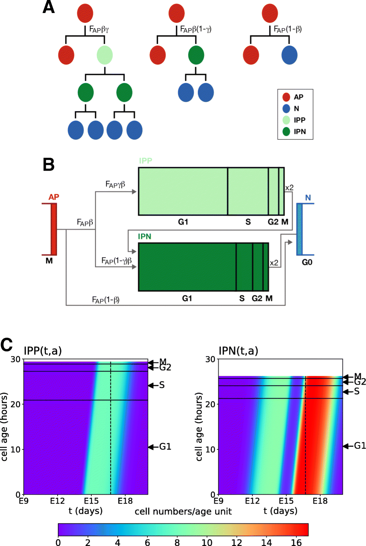 Fig. 2