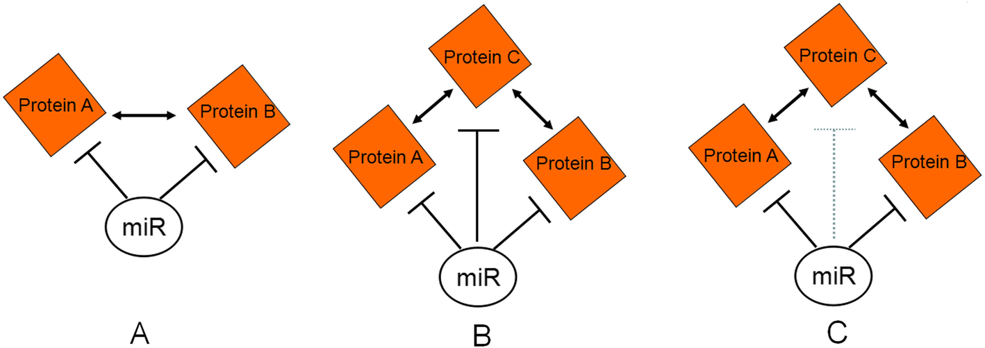 Fig. 8