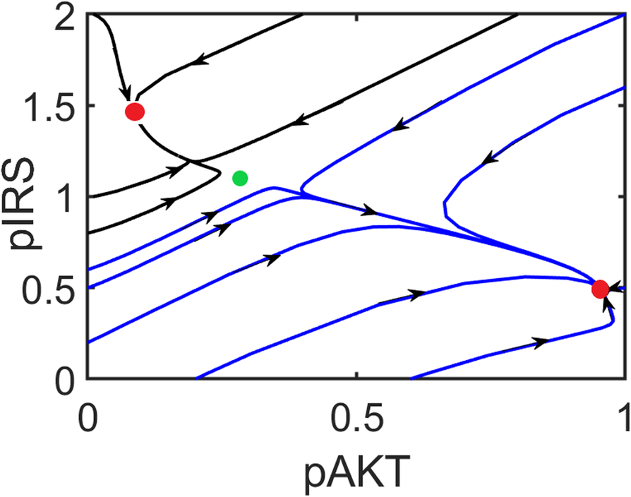 Fig. 11