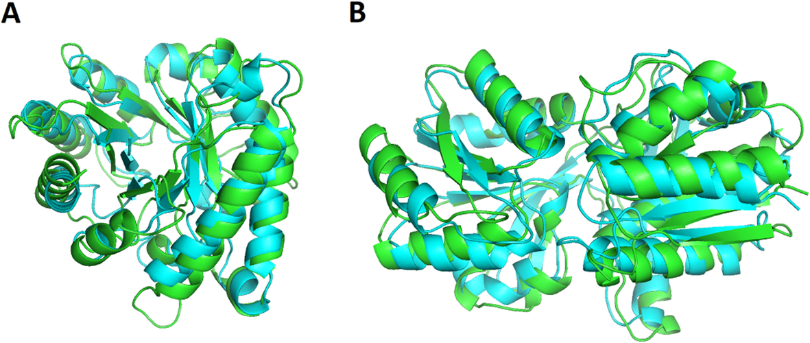 Fig. 5