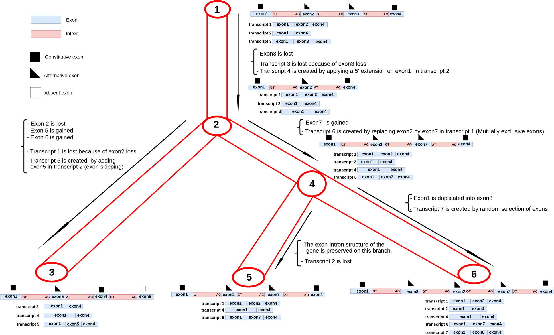 Fig. 5