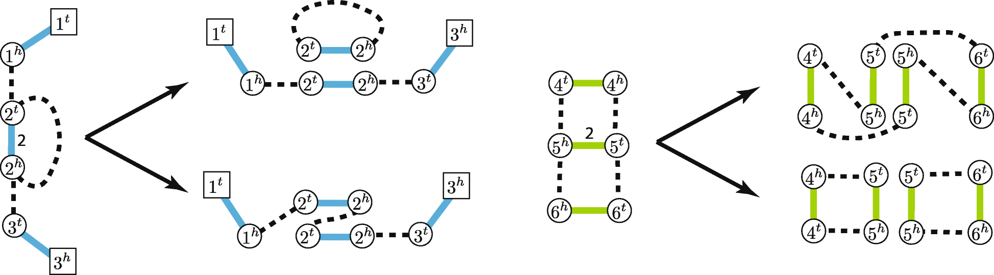 Fig. 2