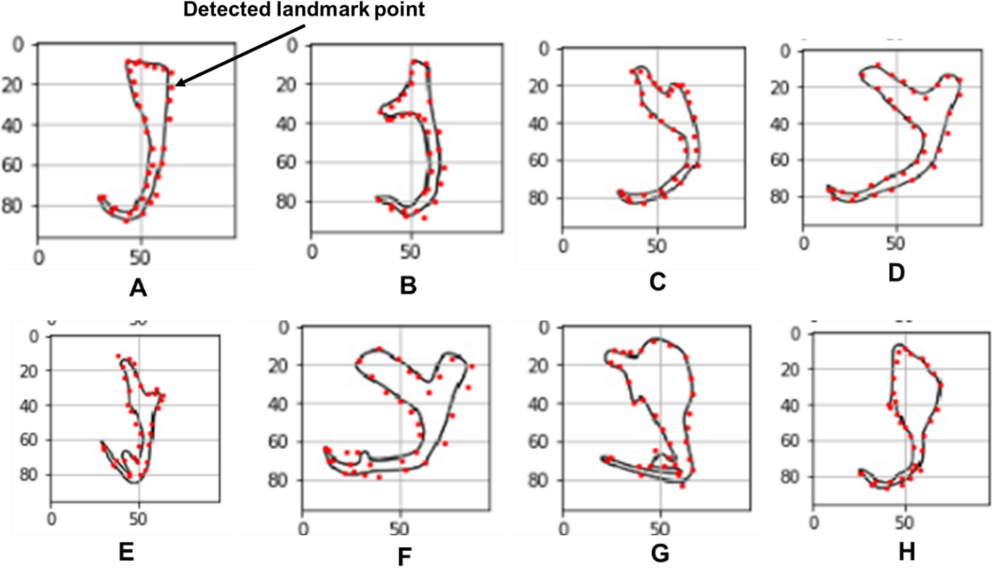 Fig. 4