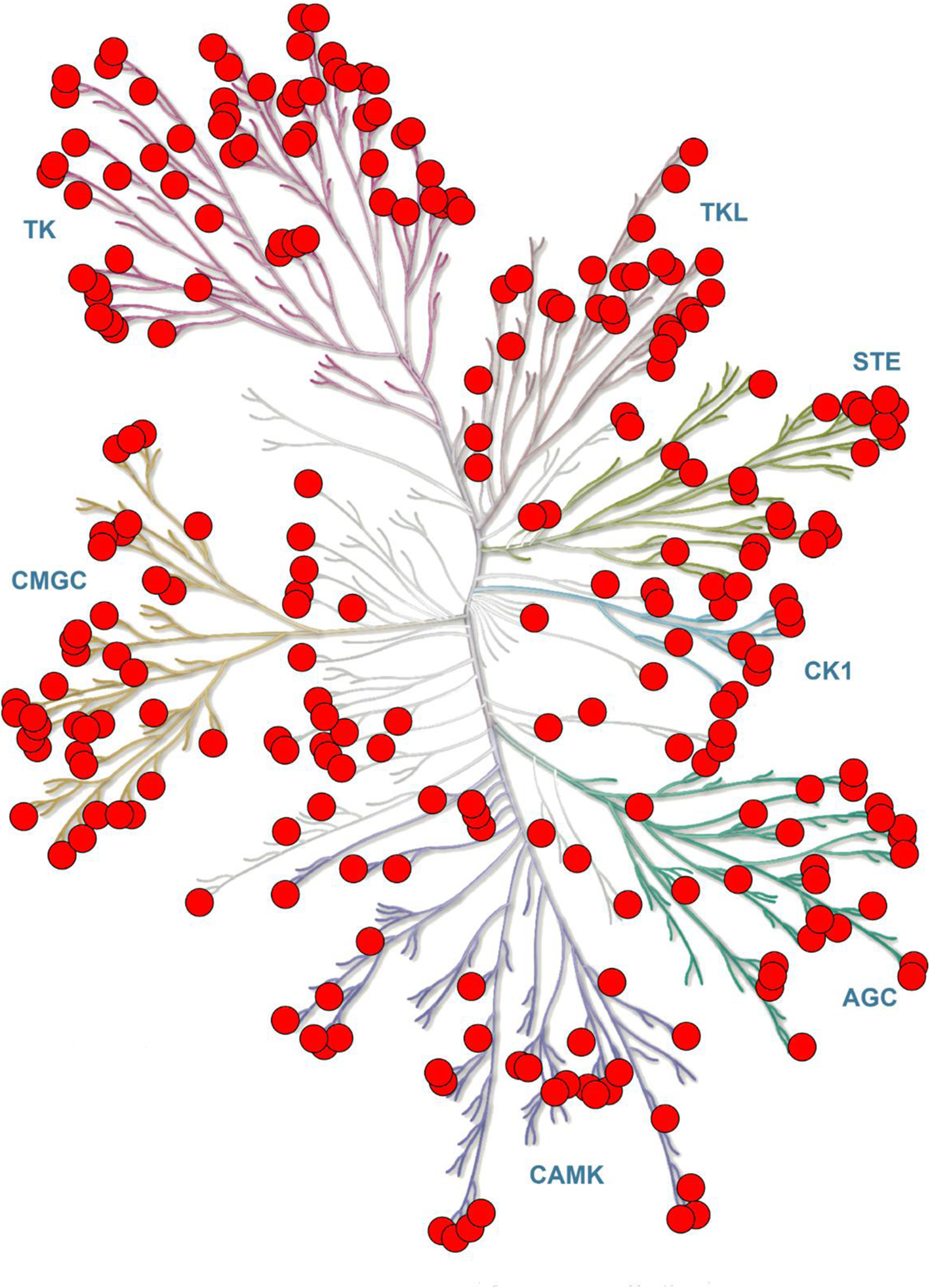 Fig. 3