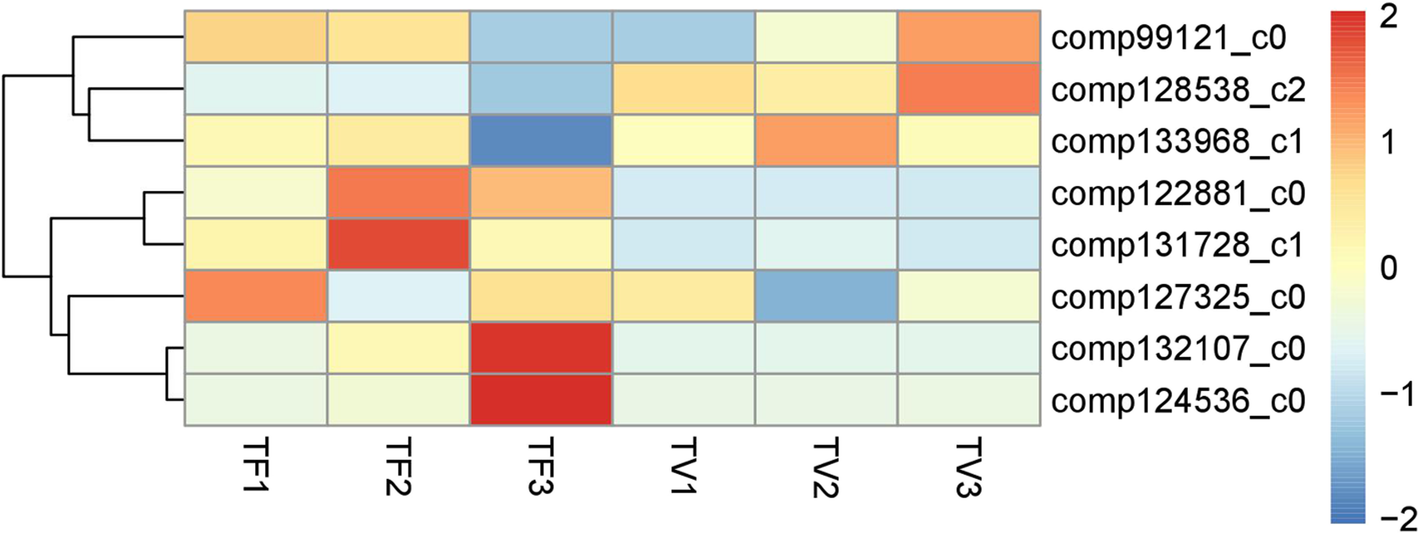 Fig. 7