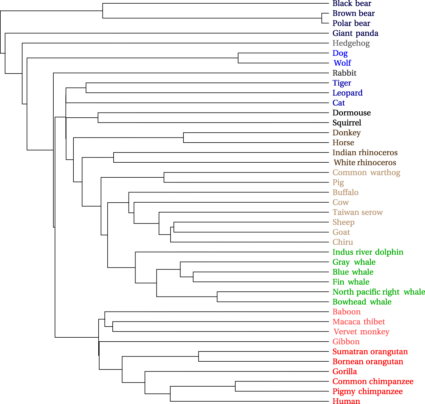 Fig. 10