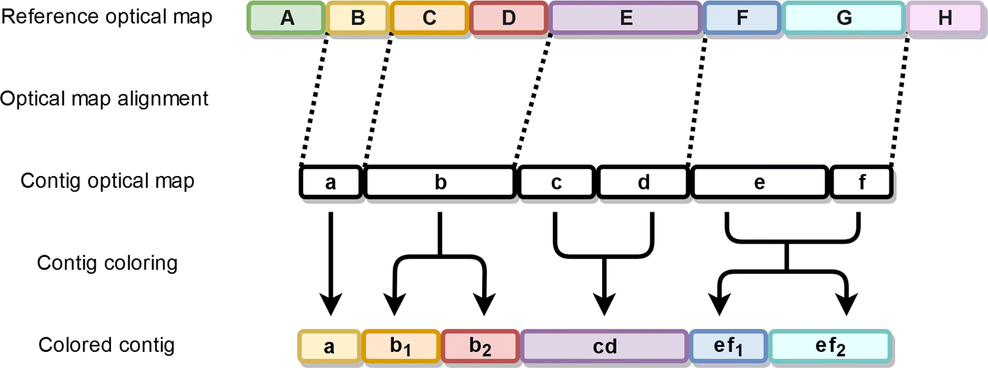 Fig. 3