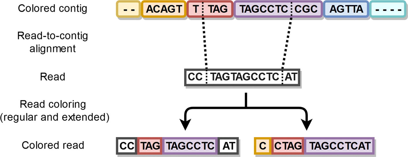 Fig. 4