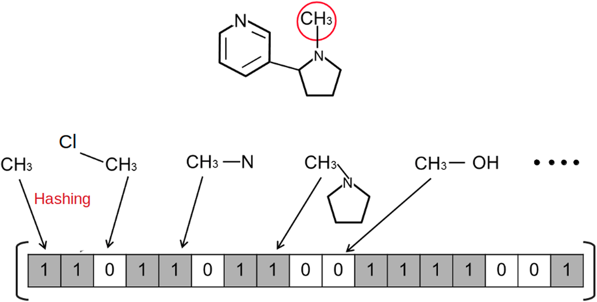 Fig. 1