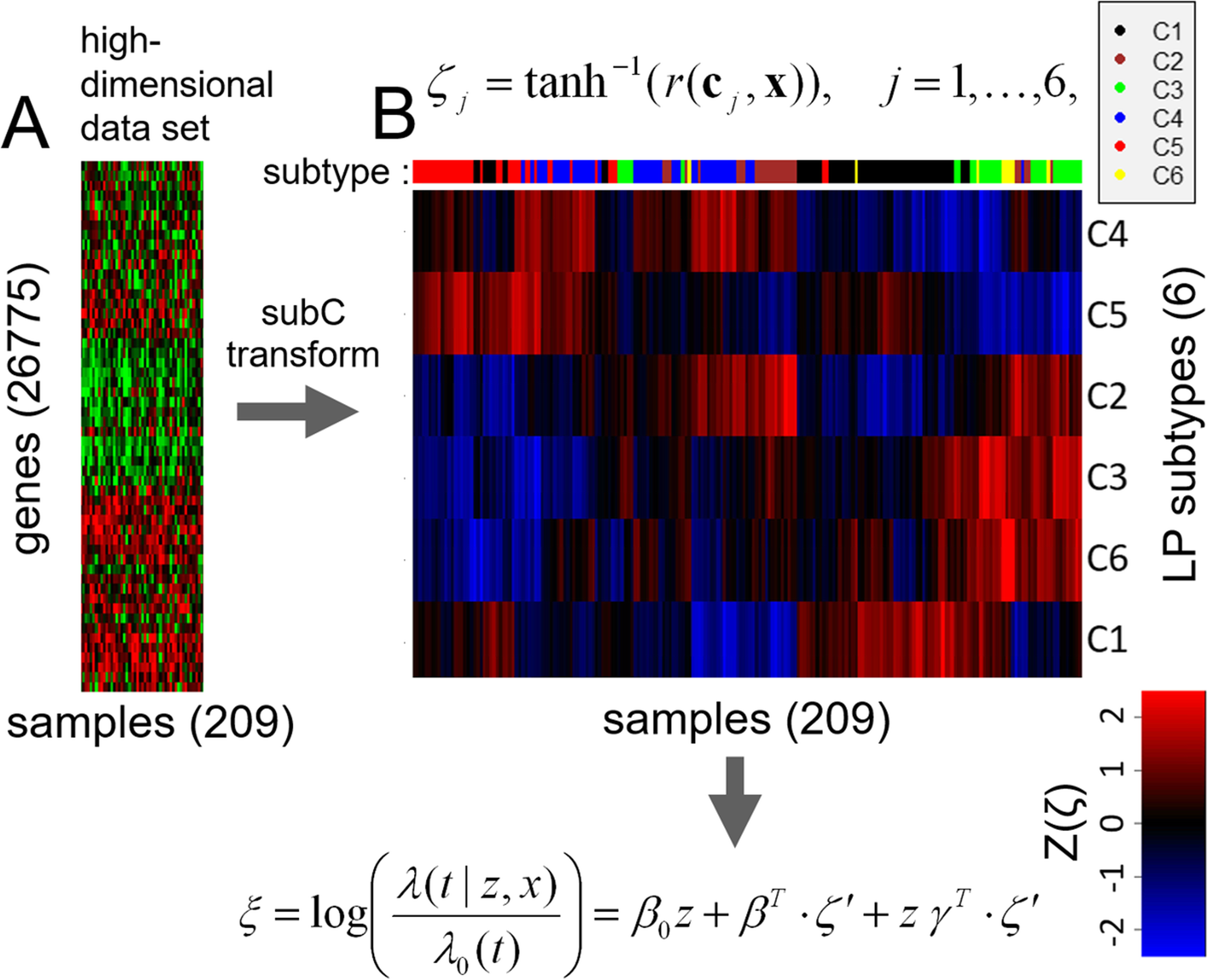 Fig. 1