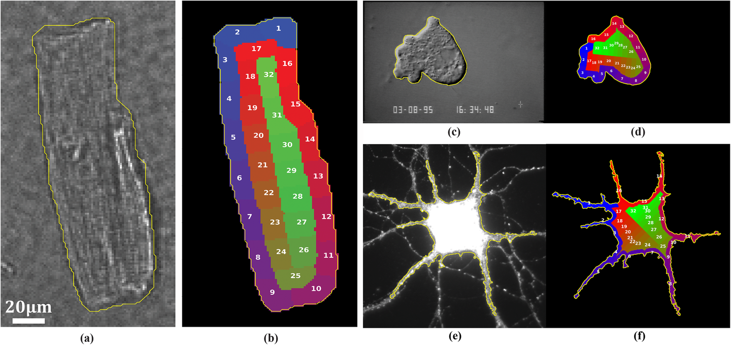 Fig. 2