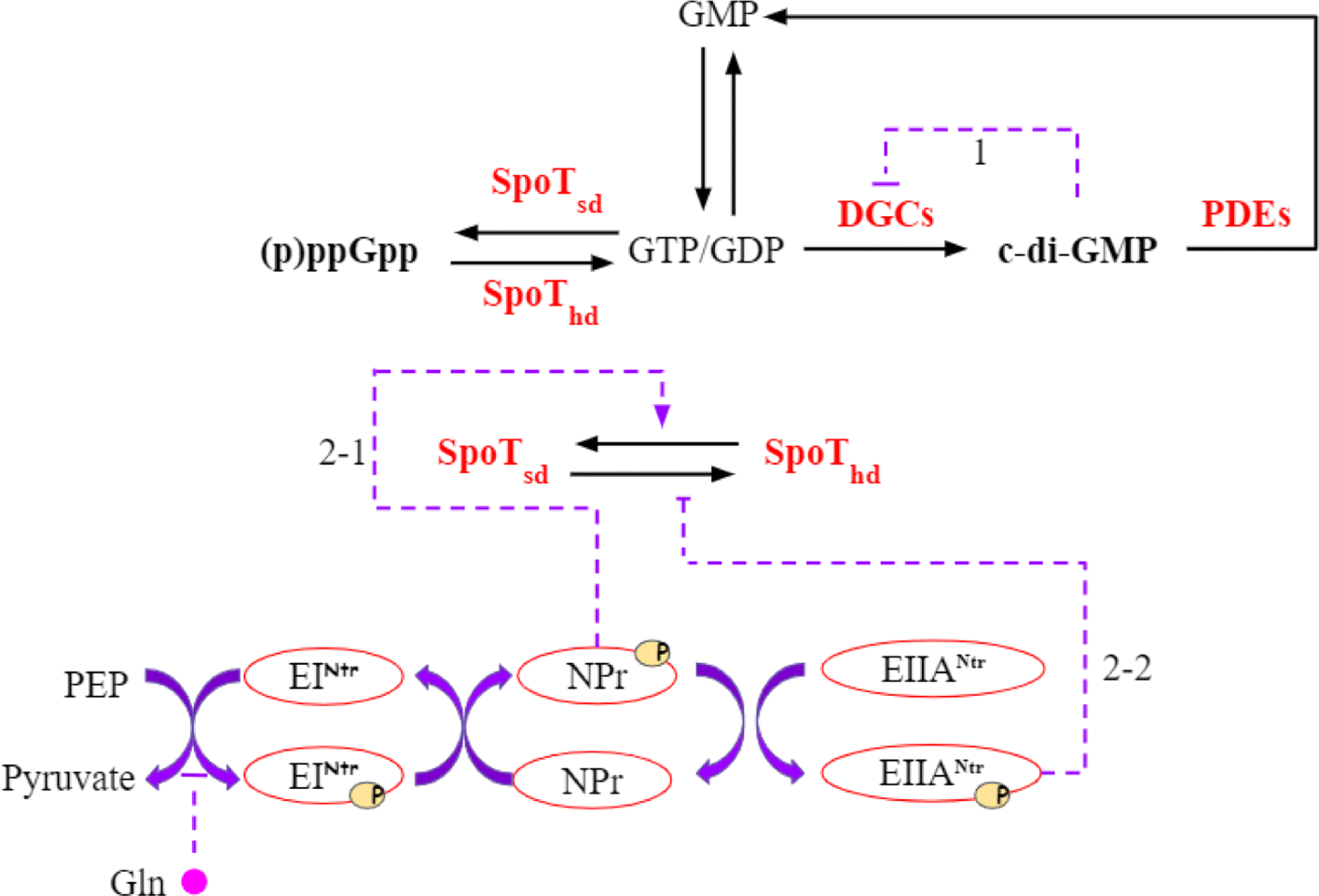 Fig. 5