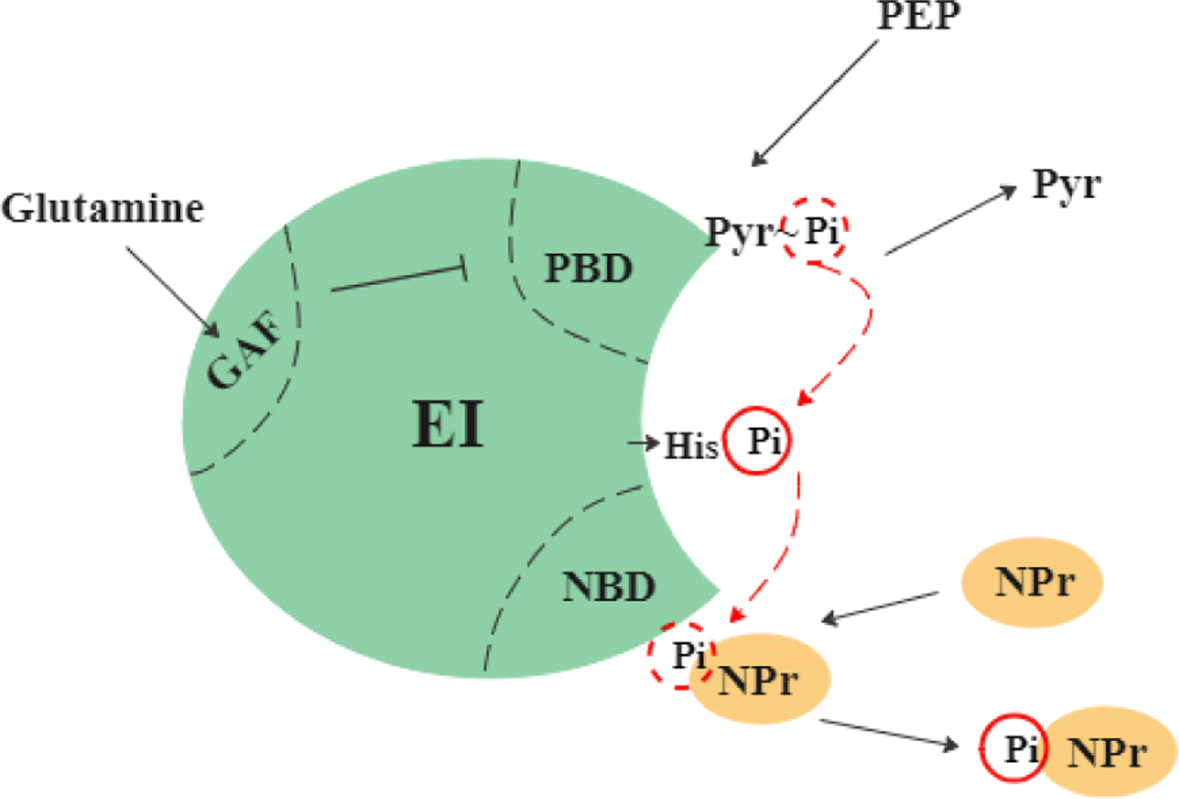 Fig. 6