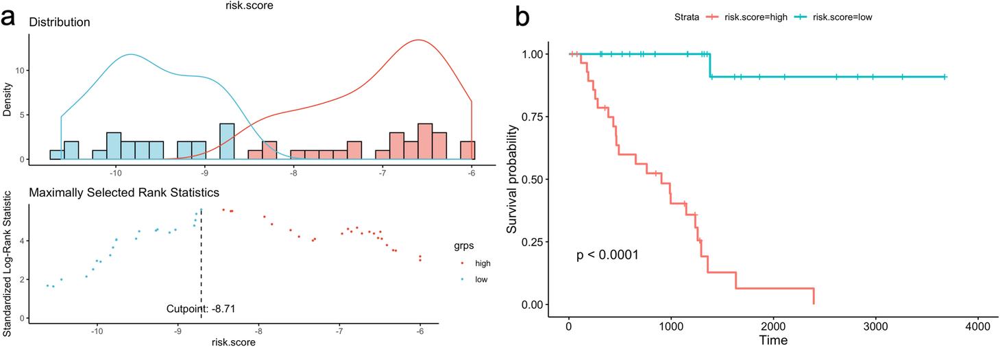 Fig. 13