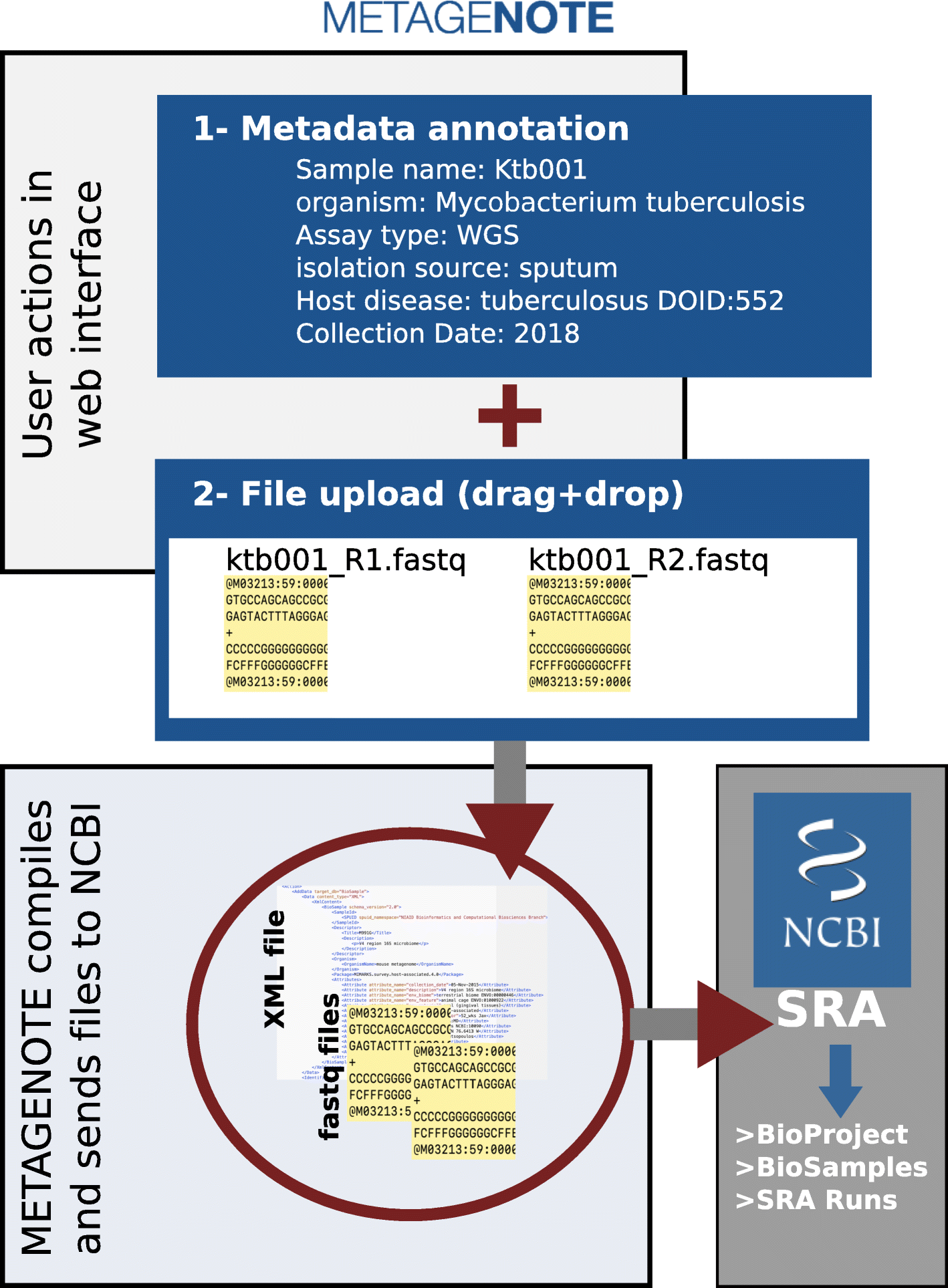 Fig. 1