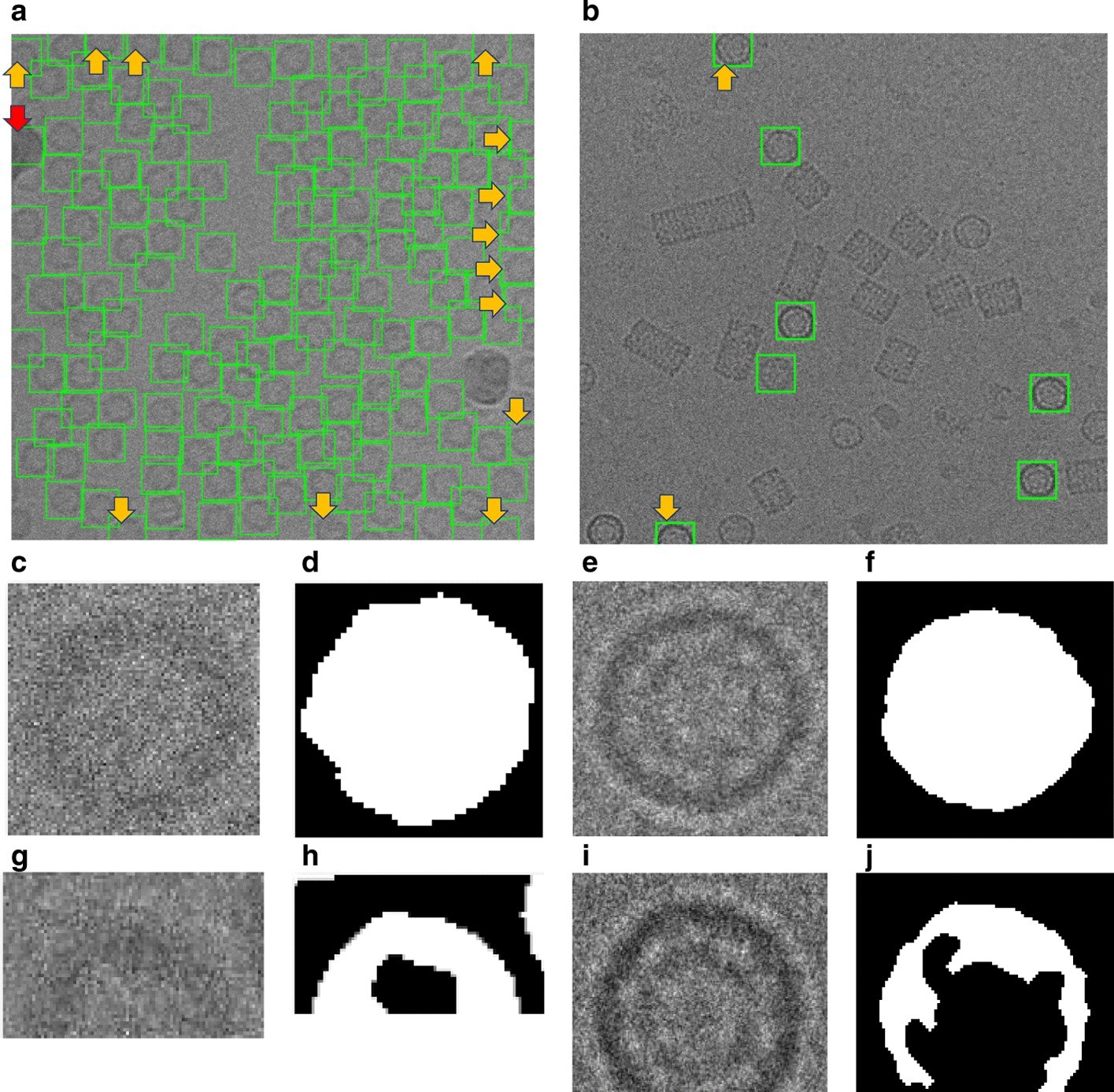 Fig. 12