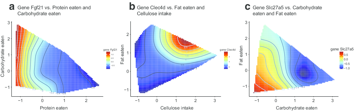 Fig. 4