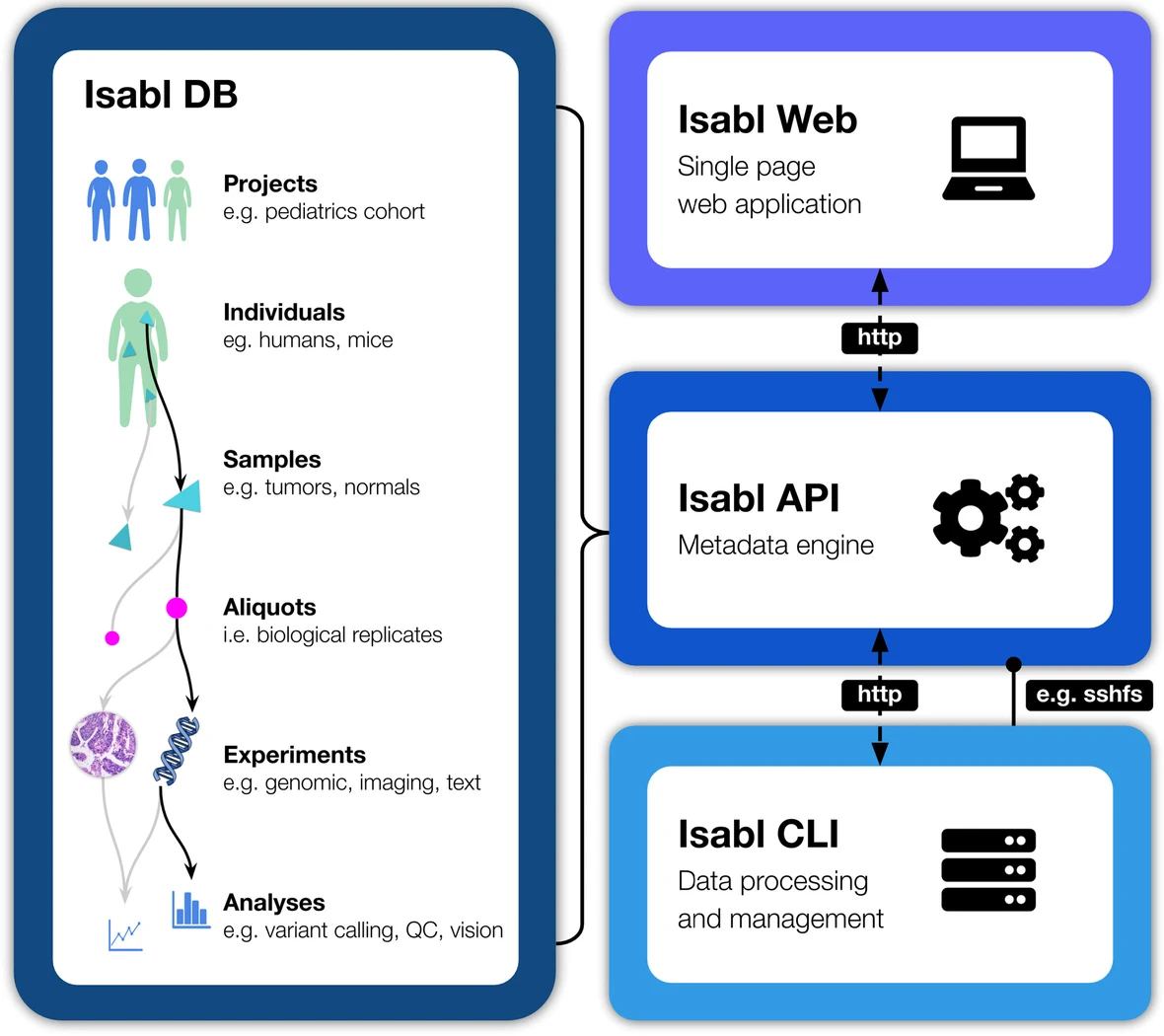 Isabl Platform, a digital biobank for processing multimodal patient data