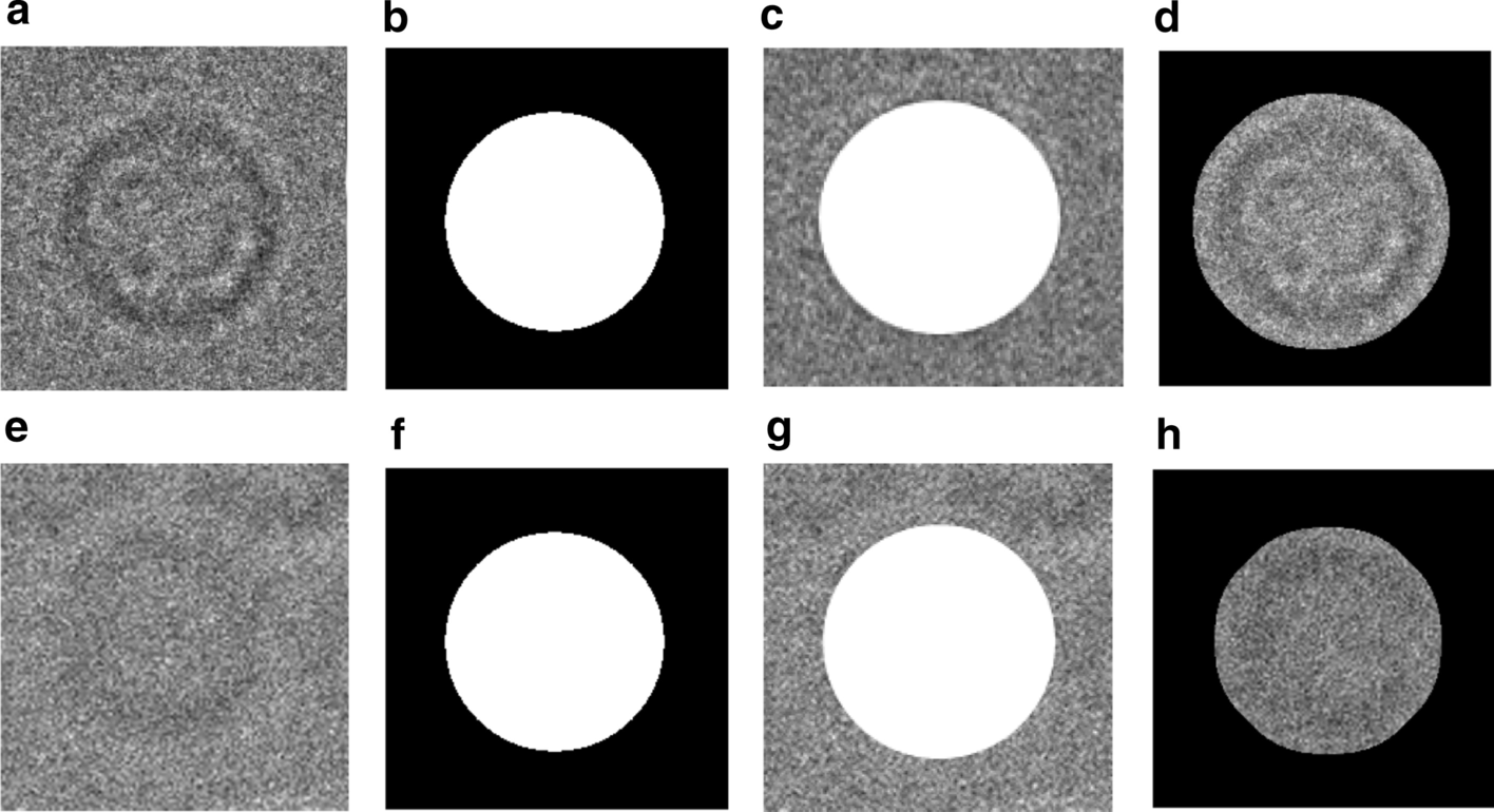 Fig. 7