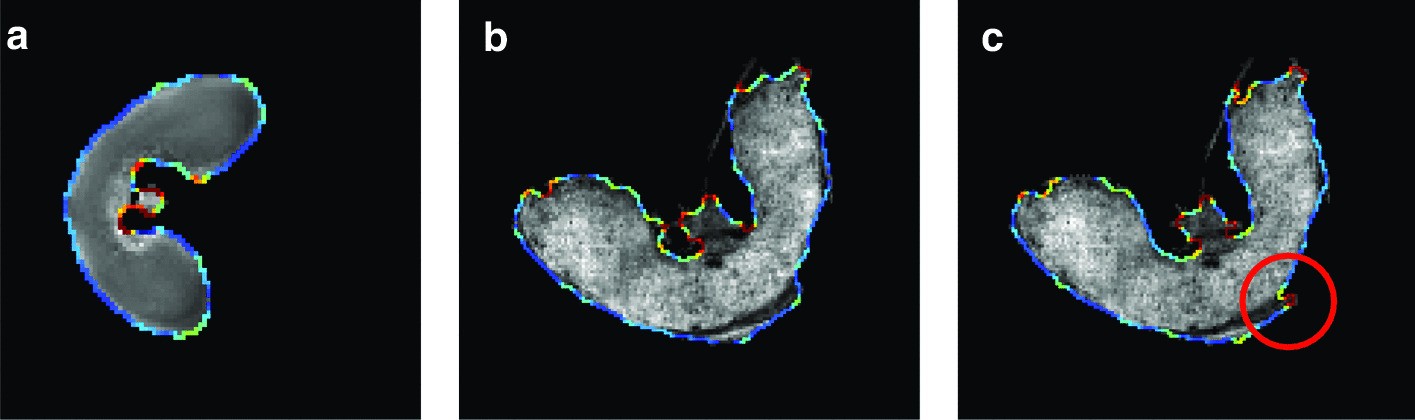 Fig. 7