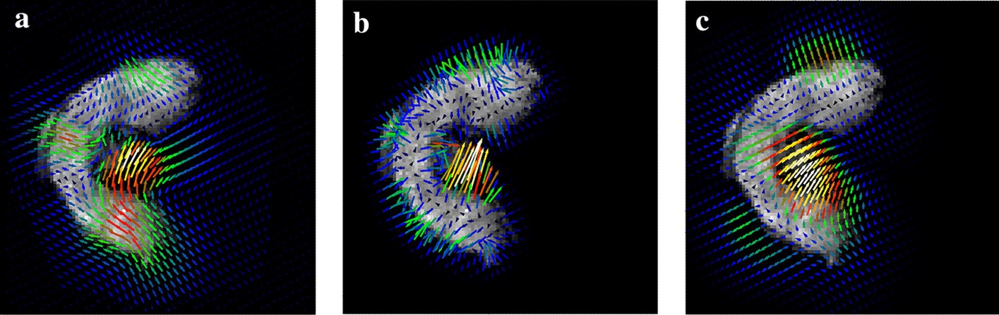 Fig. 9