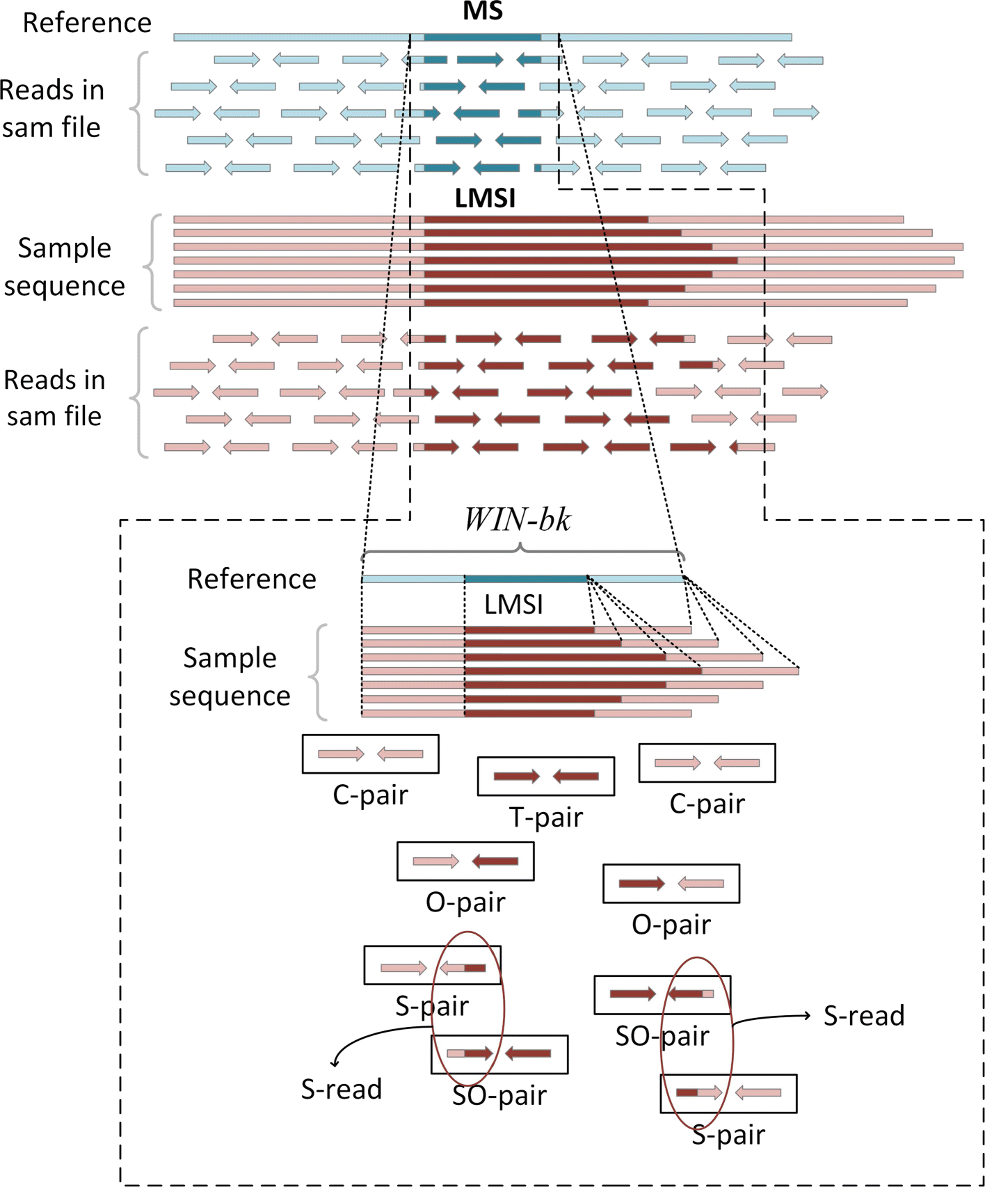 Fig. 3